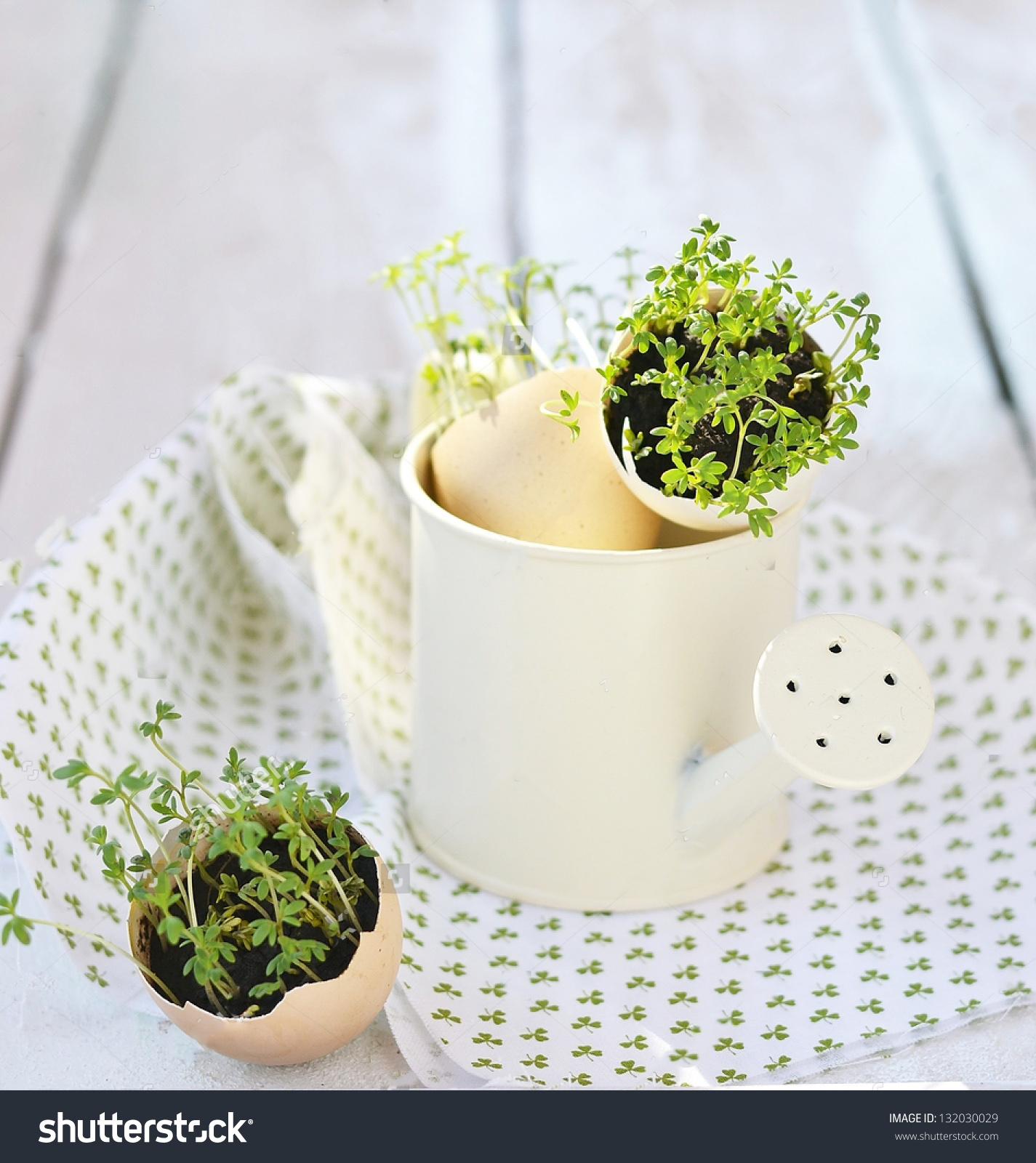 stock-photo-eggs-and-water-cress-132030029